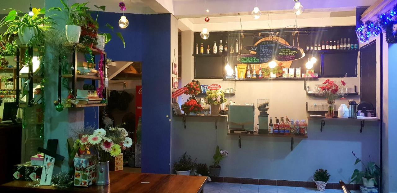 Hostel Tiny Tigers Dalat Exteriér fotografie